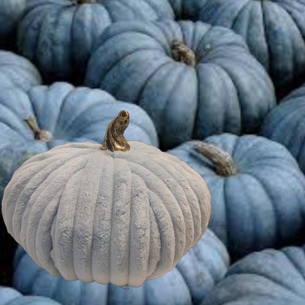 Boston International Decorative Tabletop Fabric Plush Pumpkin